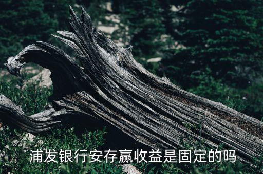  浦發(fā)銀行安存贏(yíng)收益是固定的嗎