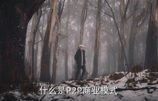 什么是P2P商業(yè)模式