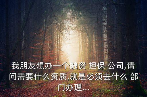 我朋友想辦一個(gè)融資 擔(dān)保 公司,請問需要什么資質(zhì),就是必須去什么 部門辦理...