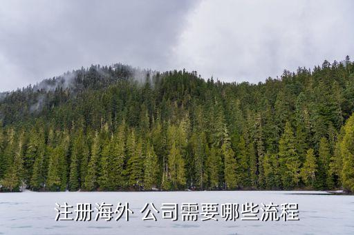 注冊海外 公司需要哪些流程
