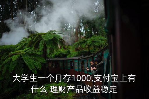 大學(xué)生一個月存1000,支付寶上有什么 理財(cái)產(chǎn)品收益穩(wěn)定