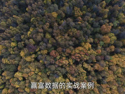 贏富數(shù)據(jù)的實戰(zhàn)案例