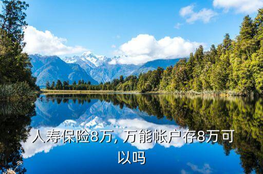 中國(guó)人壽保險(xiǎn)萬(wàn)能賬戶(hù)