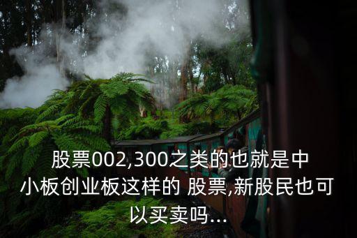 中小版塊股票怎么買(mǎi),5月股票買(mǎi)哪個(gè)版塊最好
