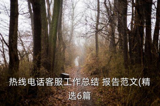 熱線電話客服工作總結 報告范文(精選6篇