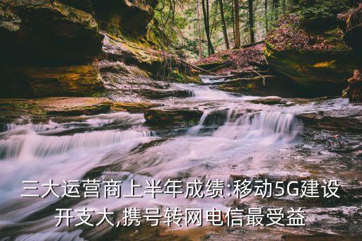 中國電信2013財務報表