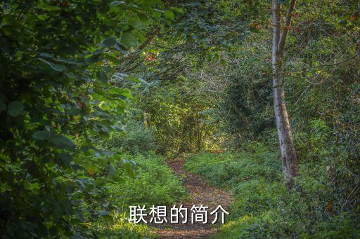 聯(lián)想集團在濟南有子公司嗎,聯(lián)想子公司和聯(lián)想集團待遇一樣嗎