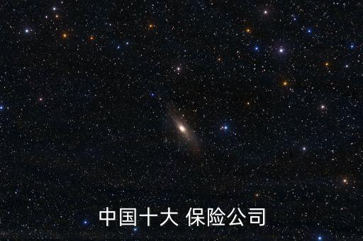 中國十大 保險公司