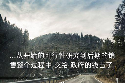 ...從開(kāi)始的可行性研究到后期的銷售整個(gè)過(guò)程中,交給 政府的錢(qián)占了...