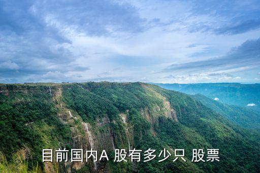 目前國(guó)內(nèi)A 股有多少只 股票