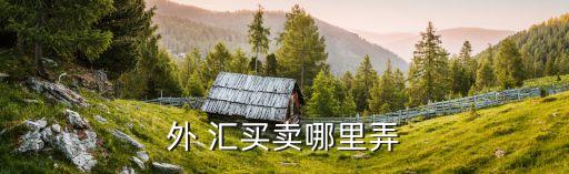 交通銀行的個(gè)人結(jié)售匯買(mǎi)美元