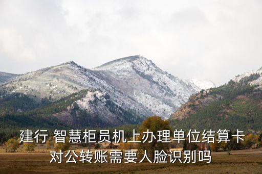 建行 智慧柜員機(jī)上辦理單位結(jié)算卡對(duì)公轉(zhuǎn)賬需要人臉識(shí)別嗎