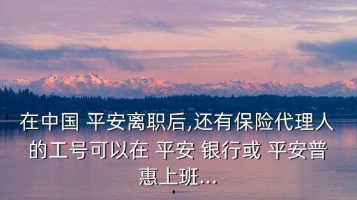 在中國(guó) 平安離職后,還有保險(xiǎn)代理人的工號(hào)可以在 平安 銀行或 平安普惠上班...