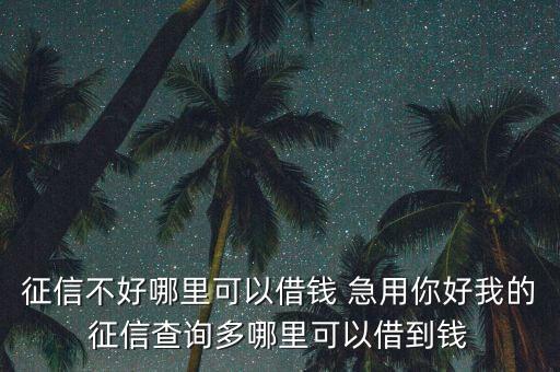 征信不好哪里可以借錢 急用你好我的征信查詢多哪里可以借到錢