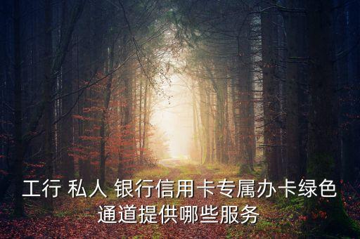 工行 私人 銀行信用卡專(zhuān)屬辦卡綠色通道提供哪些服務(wù)