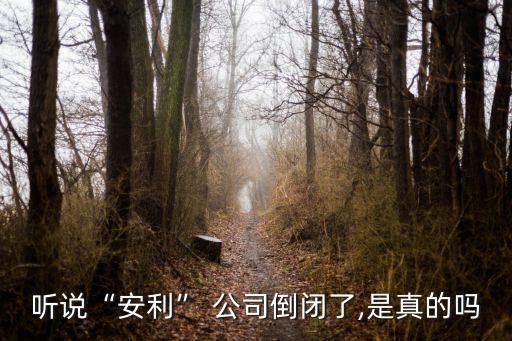 安利時(shí)公司怎么樣,安利公司怎么樣?靠什么賺錢(qián)?