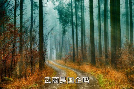 武漢民生金融集團,武漢金融集團有限公司