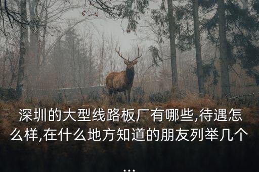  深圳的大型線(xiàn)路板廠有哪些,待遇怎么樣,在什么地方知道的朋友列舉幾個(gè)...