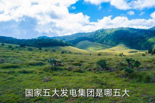 國(guó)家五大發(fā)電集團(tuán)是哪五大