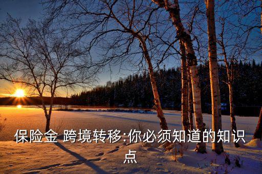 中國跨境資本流動(dòng)