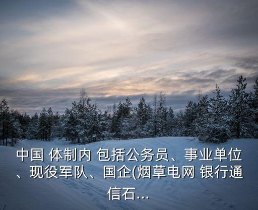 中國 體制內(nèi) 包括公務(wù)員、事業(yè)單位、現(xiàn)役軍隊、國企(煙草電網(wǎng) 銀行通信石...