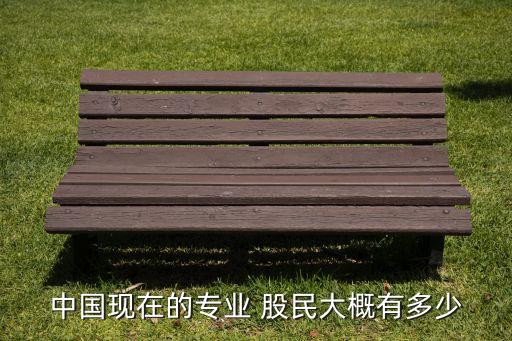 中國現(xiàn)在的專業(yè) 股民大概有多少