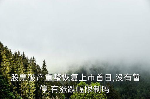  股票破產(chǎn)重整恢復(fù)上市首日,沒(méi)有暫停,有漲跌幅限制嗎