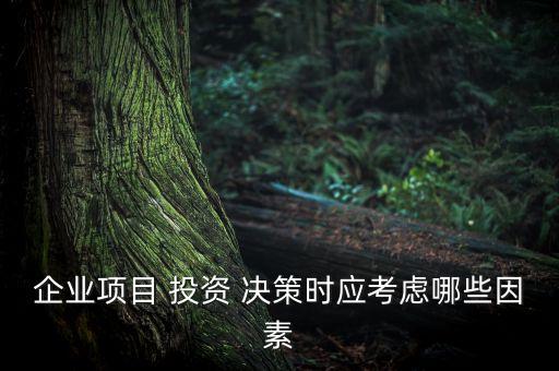 企業(yè)項(xiàng)目 投資 決策時(shí)應(yīng)考慮哪些因素