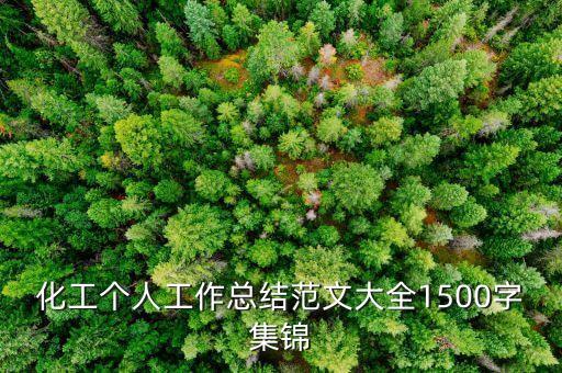化工個(gè)人工作總結(jié)范文大全1500字集錦