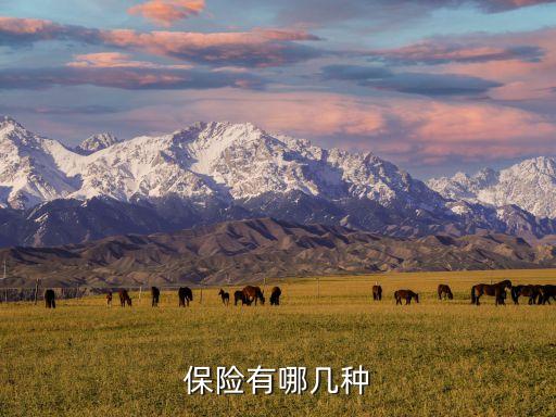 中國(guó)再保險(xiǎn)分為哪幾類,再保險(xiǎn)形式分為哪幾種