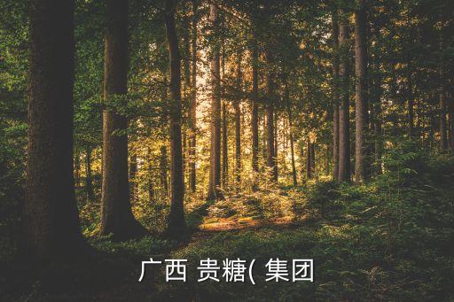 貴糖集團電話