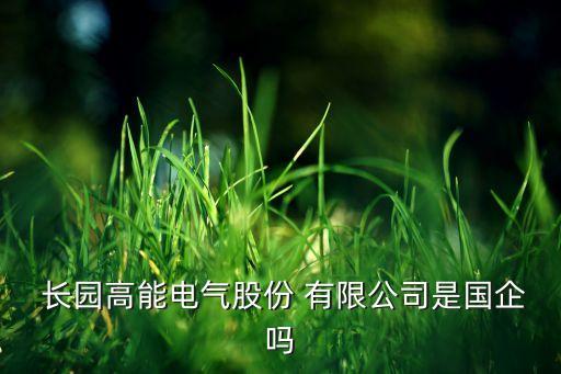 長(zhǎng)園深瑞監(jiān)測(cè)技術(shù)有限公司