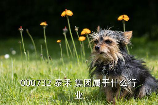 000732 泰禾 集團(tuán)屬于什么行業(yè)