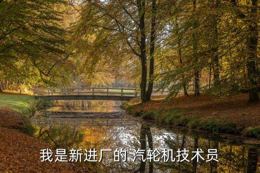 我是新進(jìn)廠的 汽輪機(jī)技術(shù)員