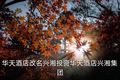 畢節(jié)洪山國際大酒店置業(yè)有限公司,九江遠(yuǎn)洲置業(yè)有限公司遠(yuǎn)洲國際大酒店