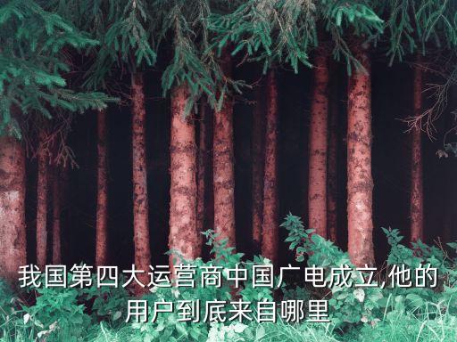 我國(guó)第四大運(yùn)營(yíng)商中國(guó)廣電成立,他的用戶(hù)到底來(lái)自哪里