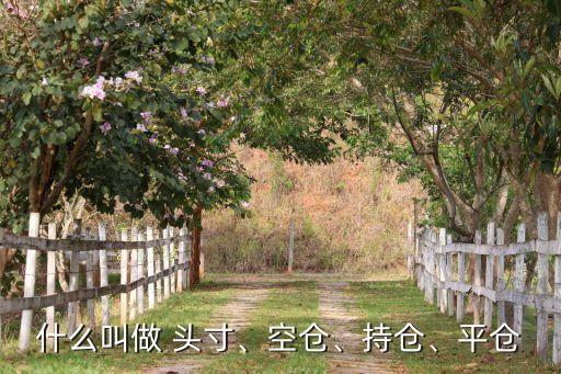 什么叫做 頭寸、空倉、持倉、平倉