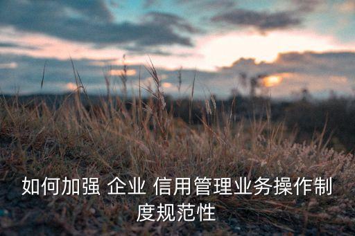 如何加強 企業(yè) 信用管理業(yè)務(wù)操作制度規(guī)范性