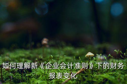 如何理解新《企業(yè)會計準(zhǔn)則》下的財務(wù)報表變化