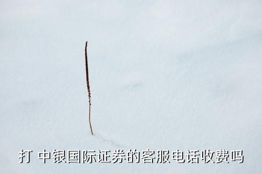 打 中銀國際證券的客服電話收費(fèi)嗎