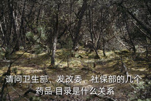 請問衛(wèi)生部、發(fā)改委、社保部的幾個 藥品 目錄是什么關(guān)系