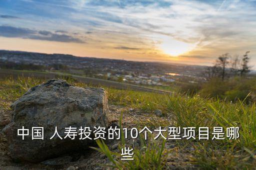中國人壽股份有限公司戰(zhàn)略規(guī)劃部
