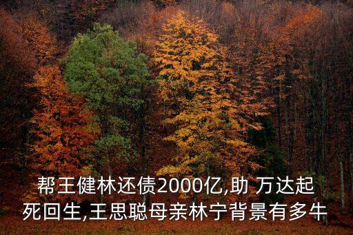 幫王健林還債2000億,助 萬達起死回生,王思聰母親林寧背景有多牛