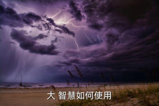 大 智慧如何使用
