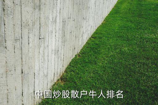 中國(guó)炒股散戶(hù)牛人排名