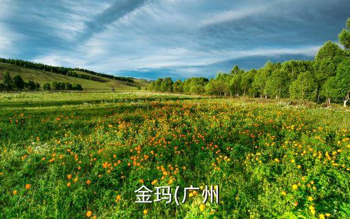  金瑪(廣州