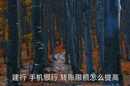  建行 手機(jī)銀行 轉(zhuǎn)賬限額怎么提高