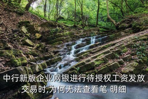 中國銀行的明細(xì)為什么不顯示單位,為什么中國銀行顯示身份信息已注冊(cè)