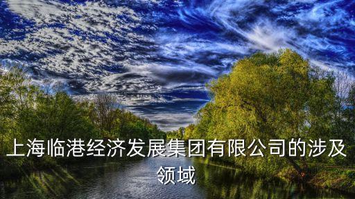 上海臨港經(jīng)濟發(fā)展集團有限公司的涉及領(lǐng)域