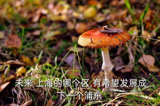 上海綠新未來(lái)發(fā)展前景,上海迪士尼的未來(lái)發(fā)展前景